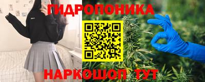 гидра Дубна