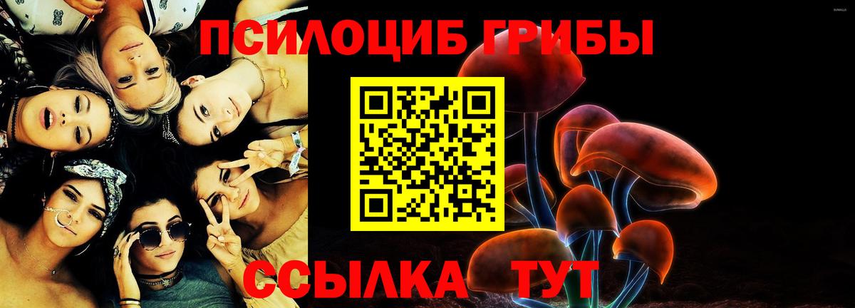Люберцы  Псилоцибиновые грибы Cubensis  Вход с VPN 
